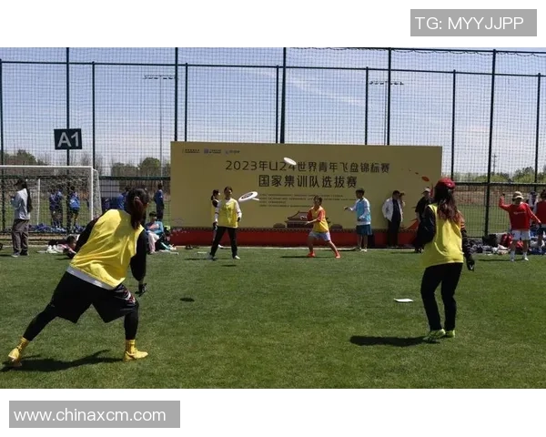 飞盘节奏排行榜揭晓深圳飞盘队荣获第三名佳绩